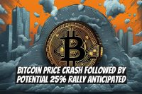 Bitcoin Price Crash Followed by Potential 25% Rally Anticipated