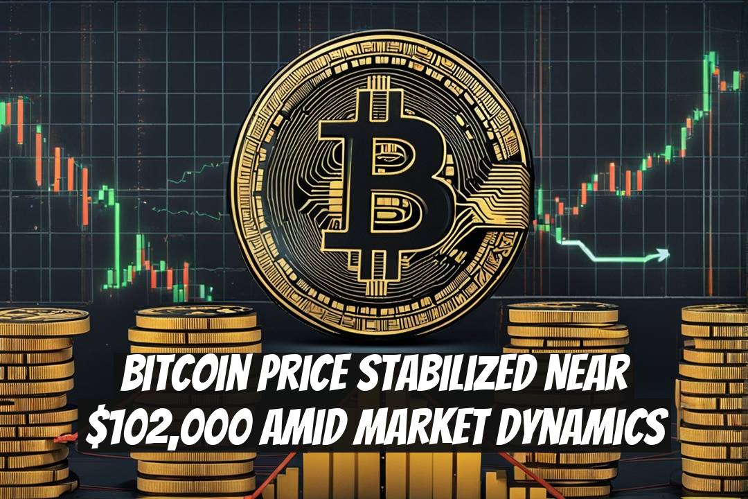 Bitcoin Price Stabilized Near $102,000 Amid Market Dynamics
