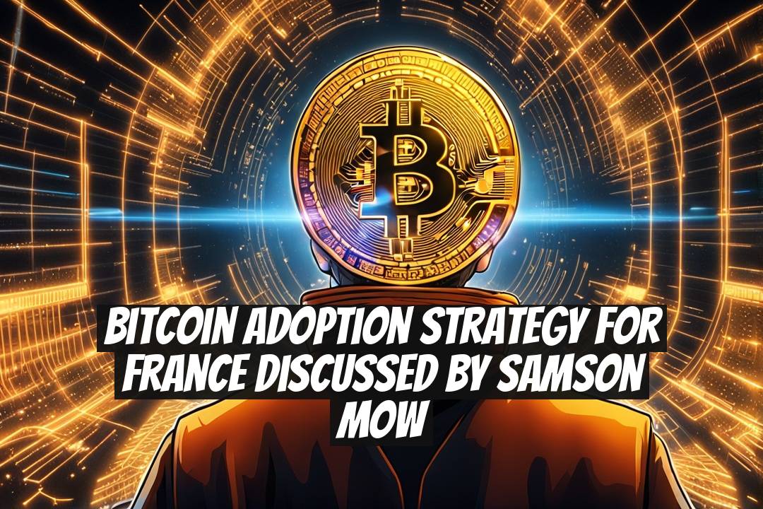 Bitcoin Adoption Strategy for France Discussed by Samson Mow