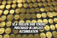 10.4 Trillion SHIB Tokens Purchased in Largest Accumulation