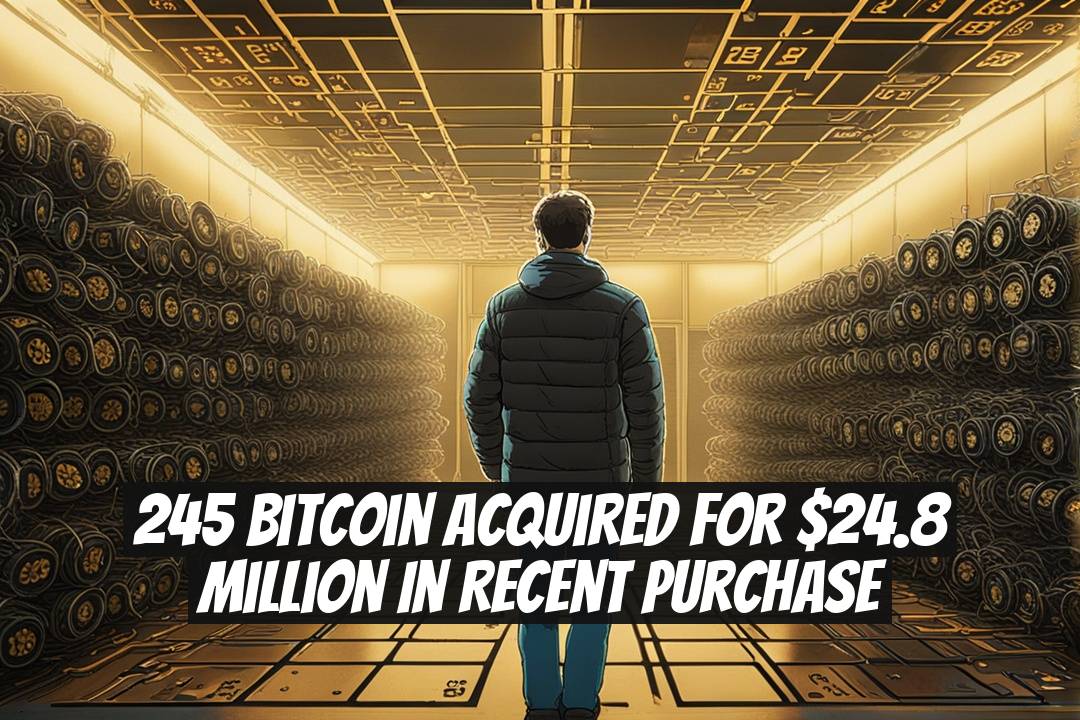 245 Bitcoin Acquired for $24.8 Million in Recent Purchase