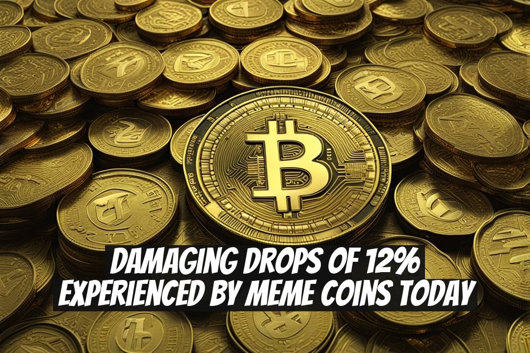 Damaging Drops of 12% Experienced by Meme Coins Today