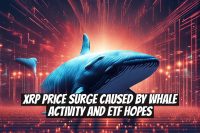 XRP Price Surge Caused by Whale Activity and ETF Hopes