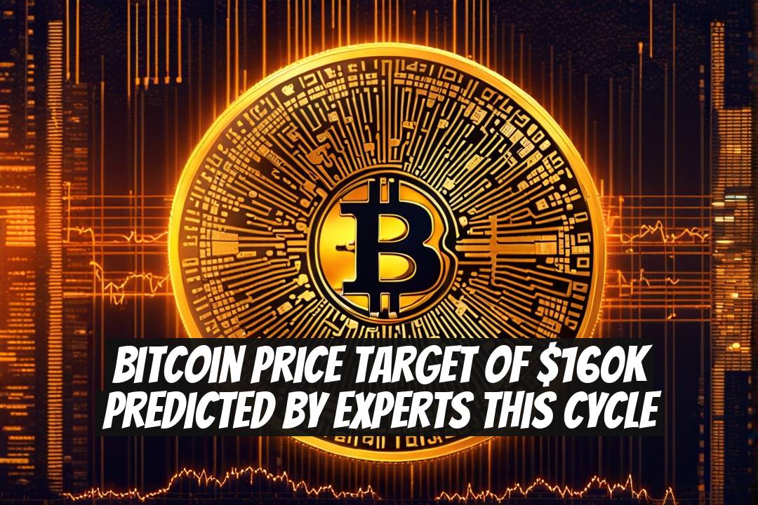 Bitcoin Price Target of $160K Predicted by Experts This Cycle