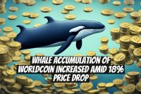 Whale Accumulation of Worldcoin Increased Amid 18% Price Drop