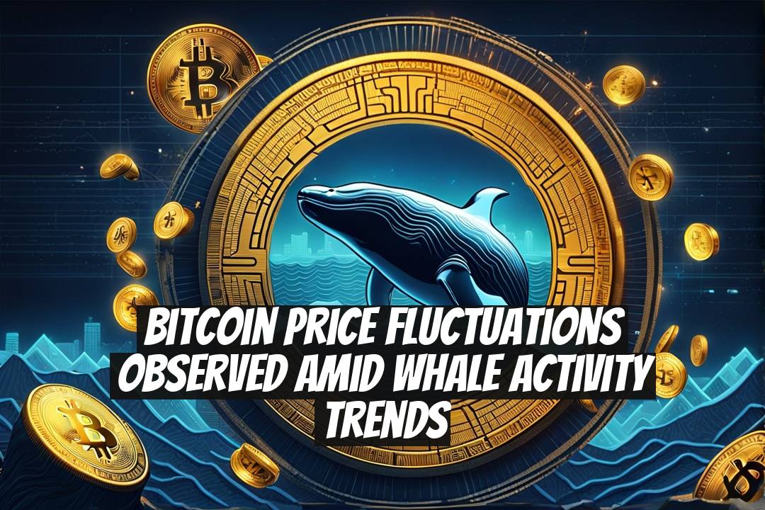Bitcoin Price Fluctuations Observed Amid Whale Activity Trends