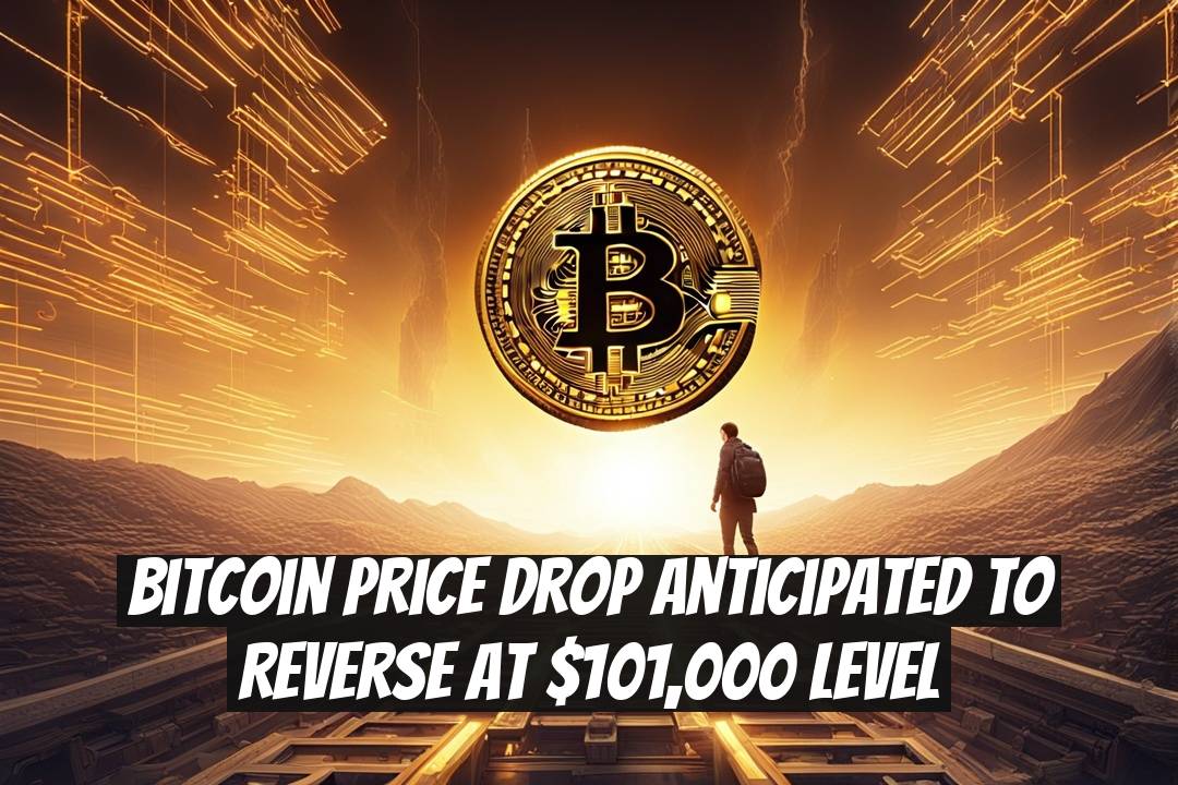 Bitcoin Price Drop Anticipated to Reverse at $101,000 Level