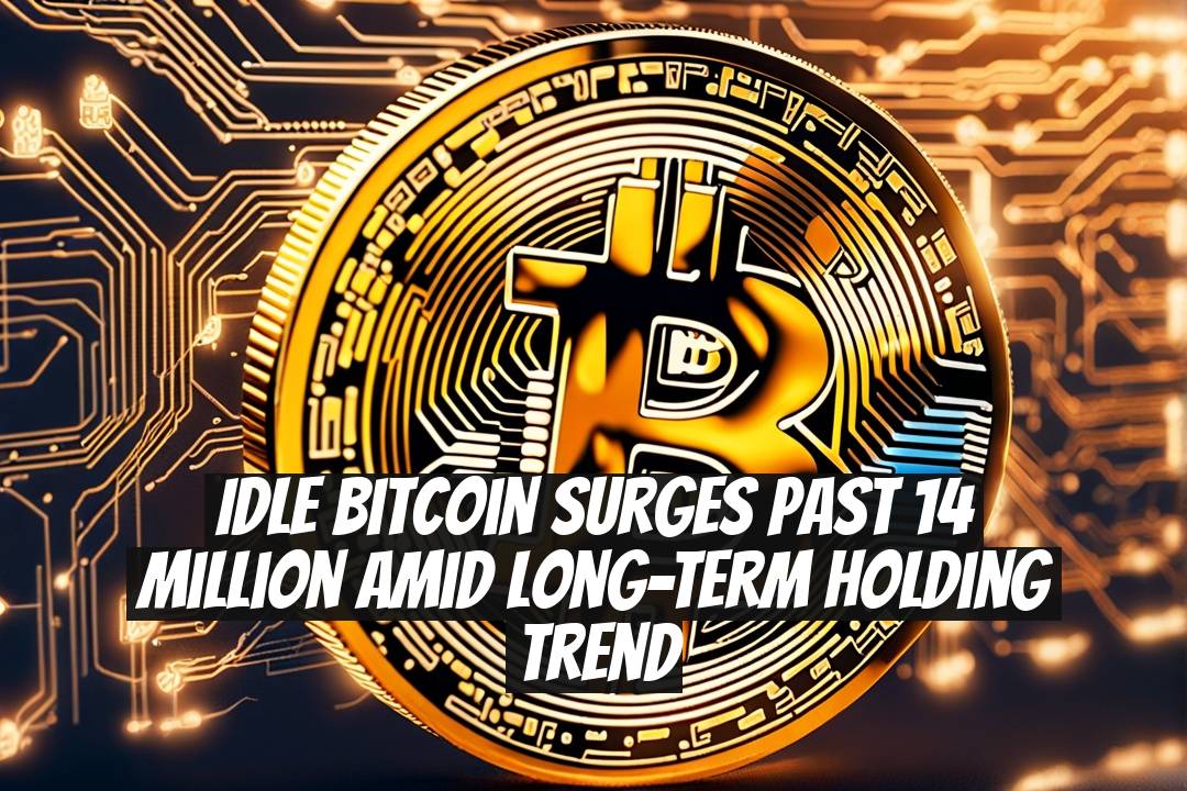 Idle Bitcoin Surges Past 14 Million Amid Long-Term Holding Trend
