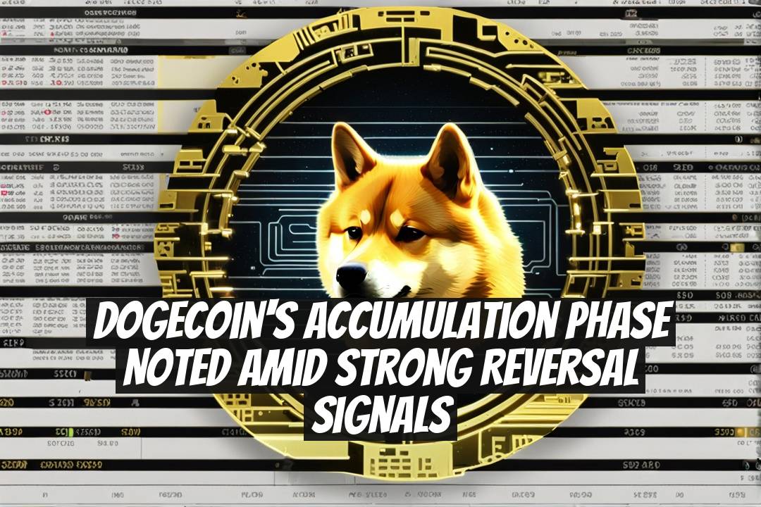 Dogecoin's Accumulation Phase Noted Amid Strong Reversal Signals