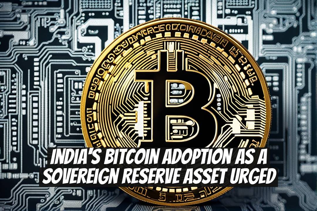 India's Bitcoin Adoption as a Sovereign Reserve Asset Urged
