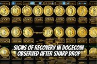 Signs of Recovery in Dogecoin Observed After Sharp Drop