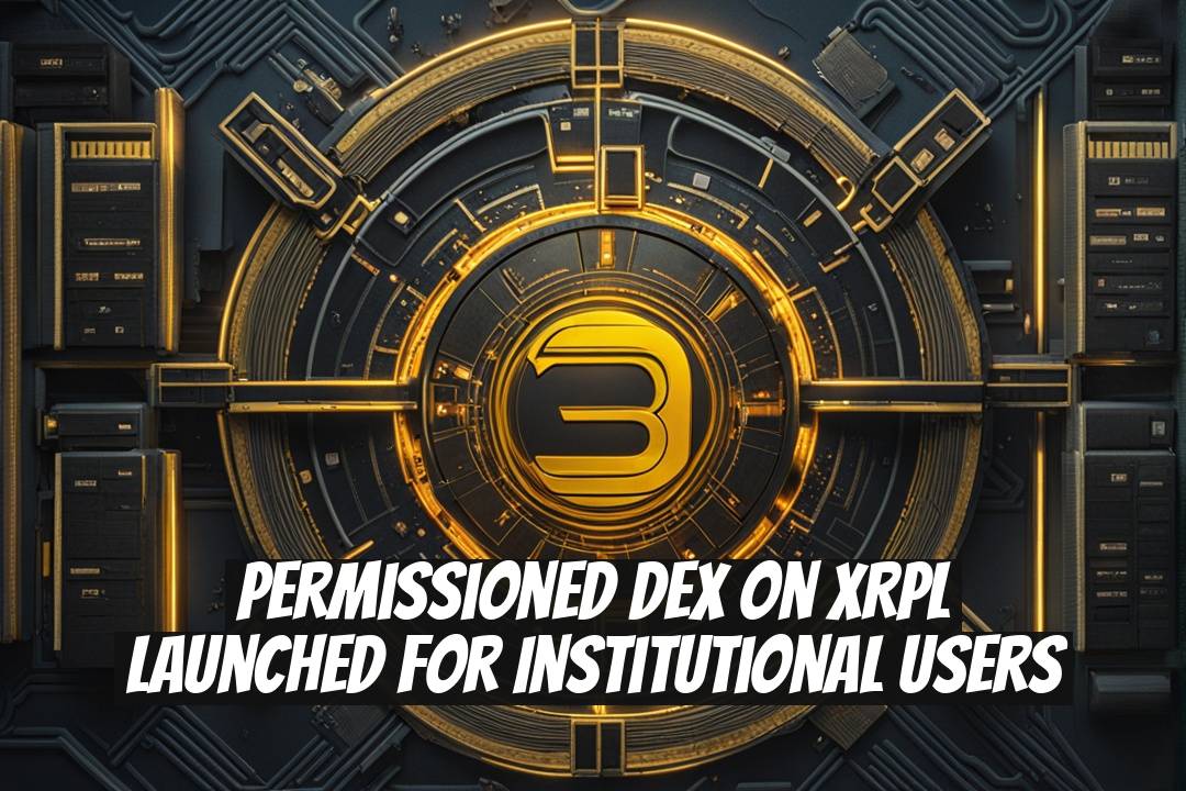 Permissioned DEX on XRPL Launched for Institutional Users