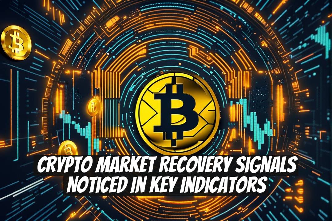Crypto Market Recovery Signals Noticed in Key Indicators