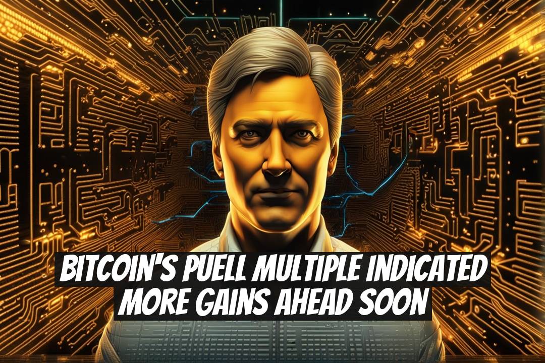 Bitcoin's Puell Multiple Indicated More Gains Ahead Soon