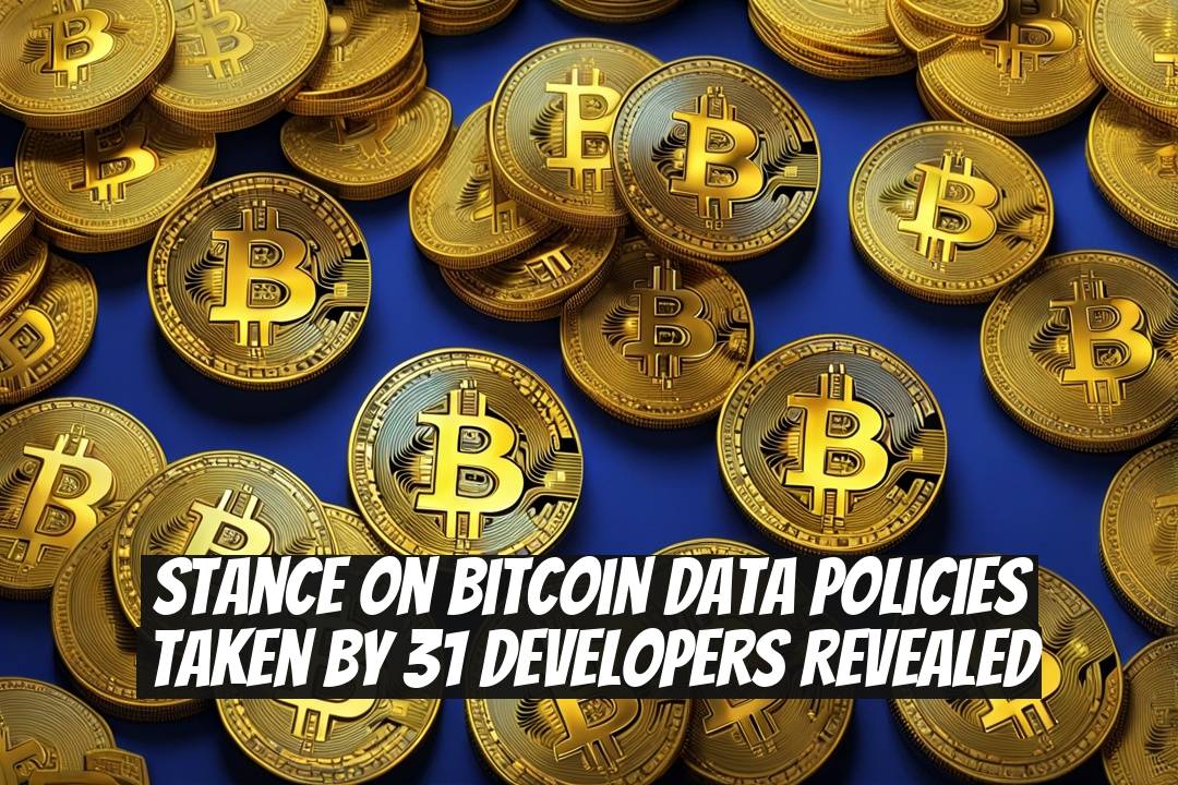 Stance on Bitcoin Data Policies Taken by 31 Developers Revealed