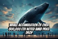 Whale Accumulation of Over 800,000 ETH Noted Amid Price Drop