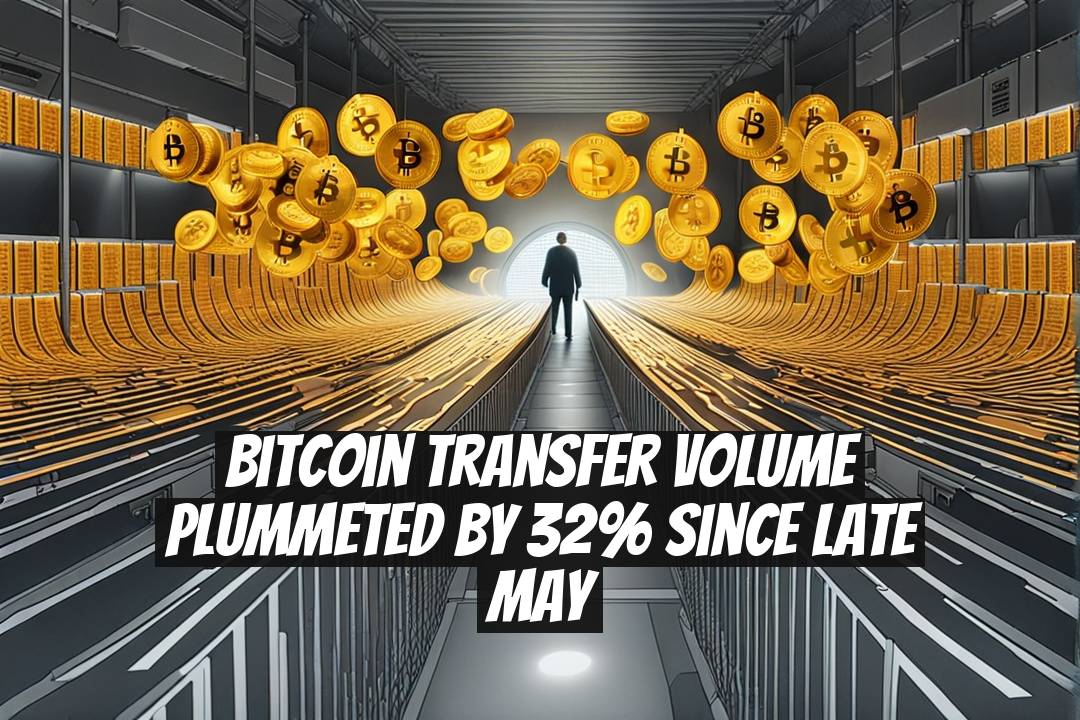 Bitcoin Transfer Volume Plummeted by 32% Since Late May
