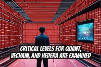 Critical Levels for Quant, VeChain, and Hedera are Examined