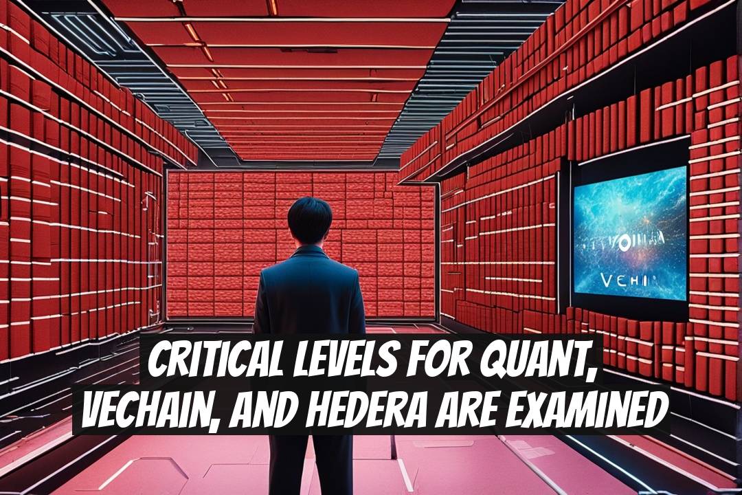 Critical Levels for Quant, VeChain, and Hedera are Examined