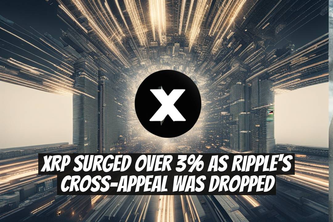 XRP Surged Over 3% as Ripple's Cross-Appeal Was Dropped