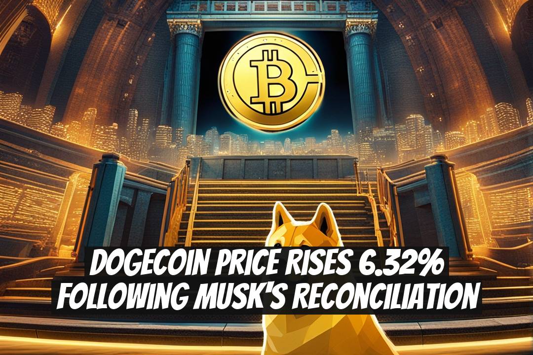 Dogecoin Price Rises 6.32% Following Musk's Reconciliation