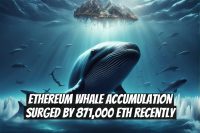 Ethereum Whale Accumulation Surged by 871,000 ETH Recently