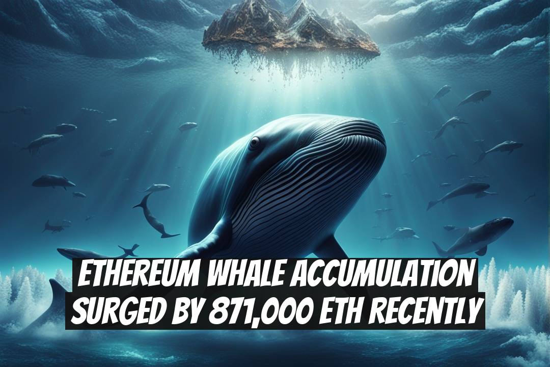 Ethereum Whale Accumulation Surged by 871,000 ETH Recently