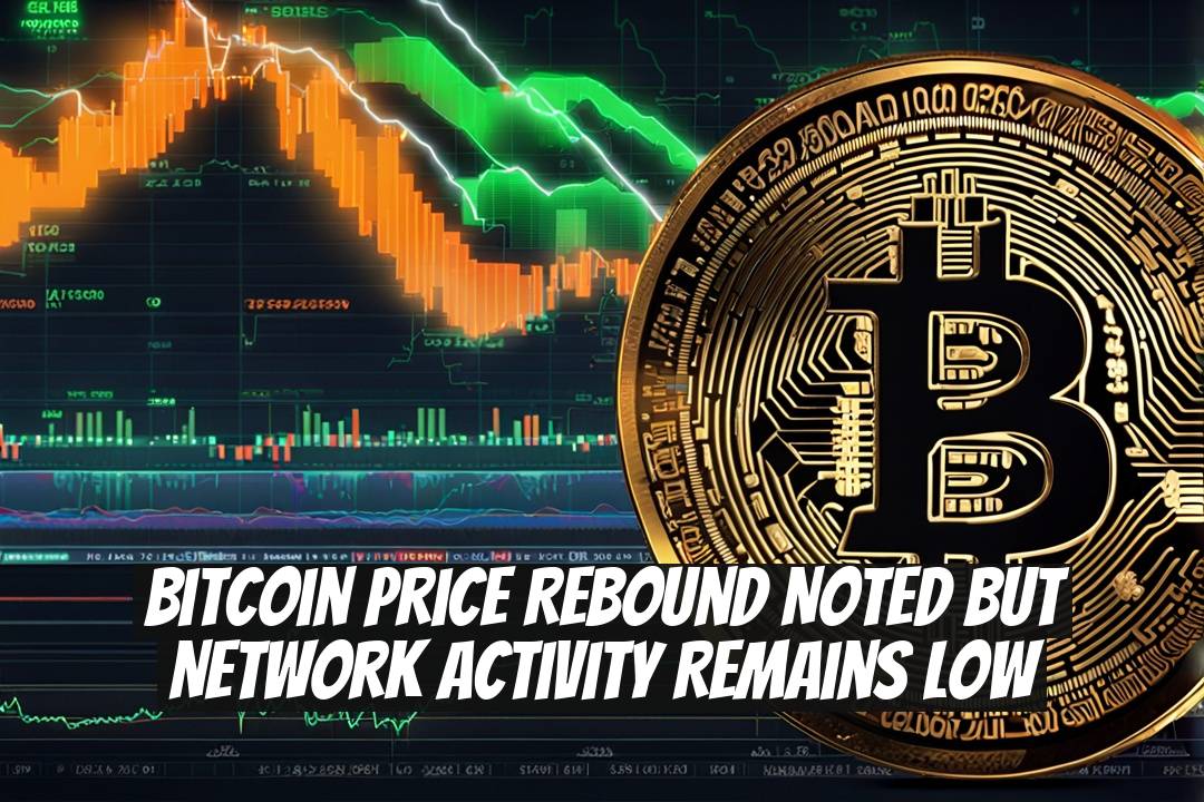Bitcoin Price Rebound Noted But Network Activity Remains Low