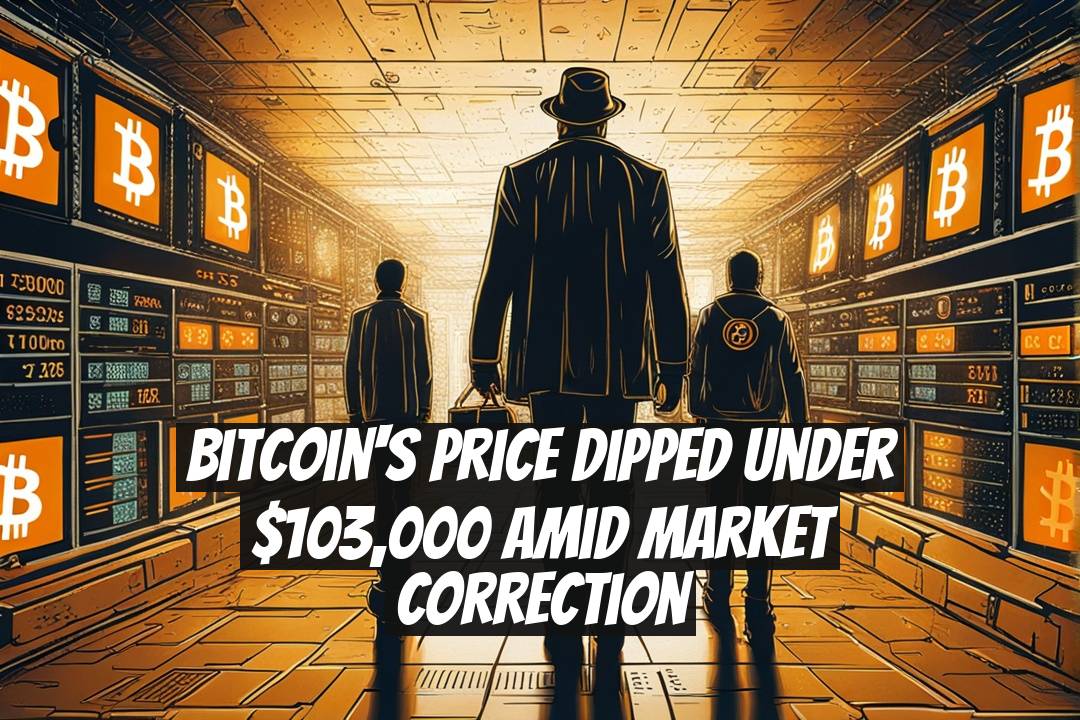 Bitcoin's Price Dipped Under $103,000 Amid Market Correction
