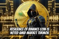Resilience of Binance Coin is Noted Amid Market Turmoil
