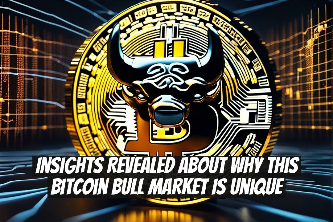 Insights Revealed About Why This Bitcoin Bull Market Is Unique