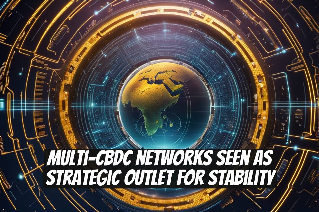 Multi-CBDC Networks Seen as Strategic Outlet for Stability