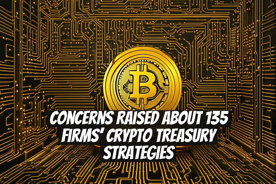 Concerns Raised About 135 Firms’ Crypto Treasury Strategies