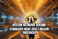 Bitcoin Network Volume Stabilized Near $58.7 Billion Threshold