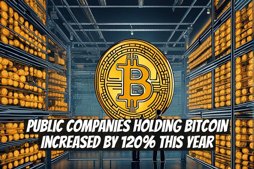 Public Companies Holding Bitcoin Increased by 120% This Year