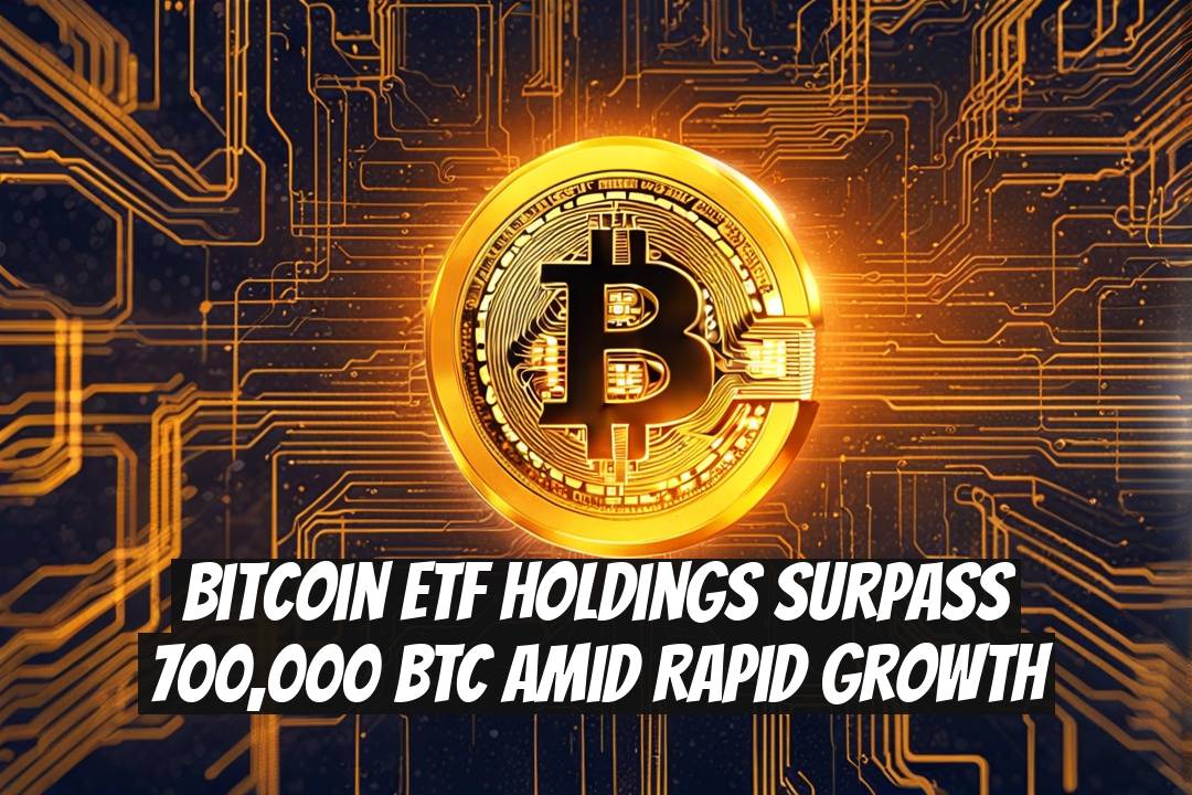 Bitcoin ETF Holdings Surpass 700,000 BTC Amid Rapid Growth
