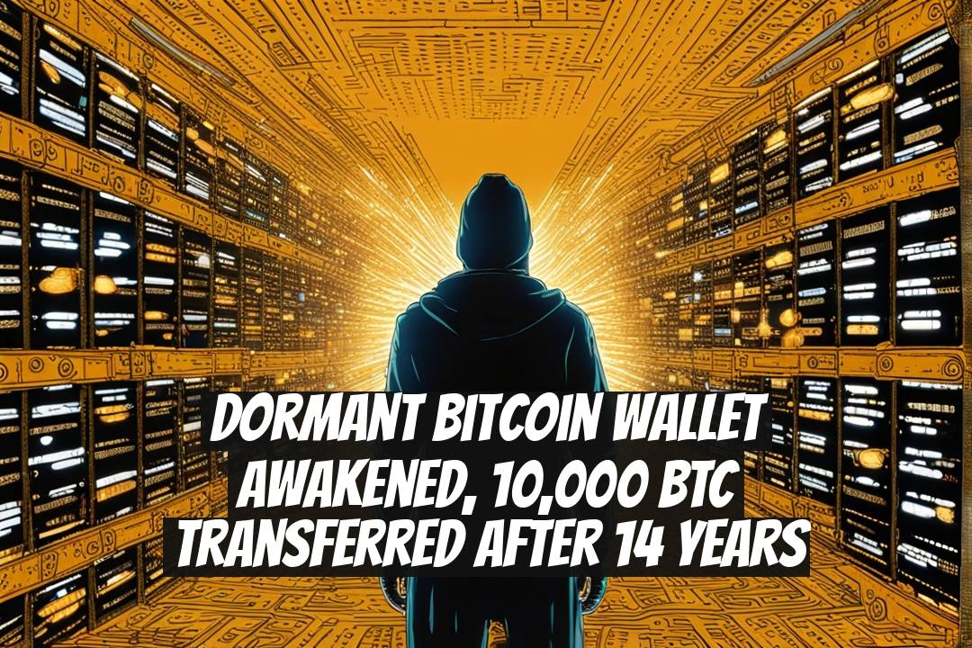 Dormant Bitcoin Wallet Awakened, 10,000 BTC Transferred After 14 Years