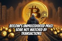 Bitcoin's Unprecedented Price Soar Not Matched by Transactions