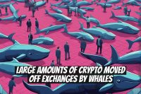 Large Amounts of Crypto Moved Off Exchanges by Whales