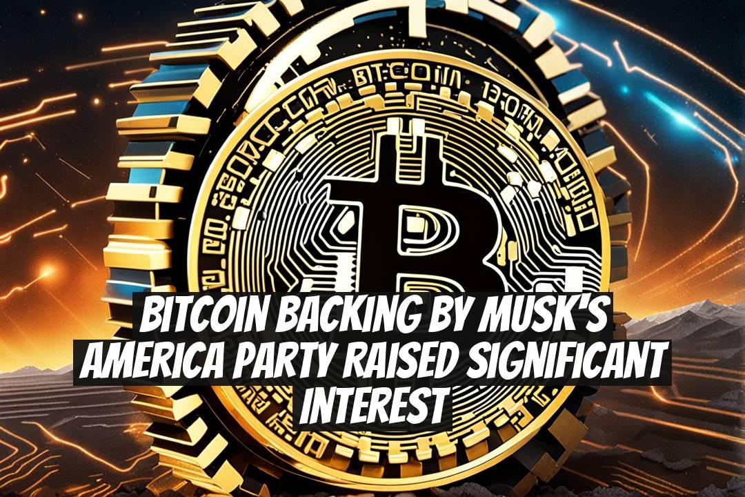 Bitcoin Backing by Musk's America Party Raised Significant Interest