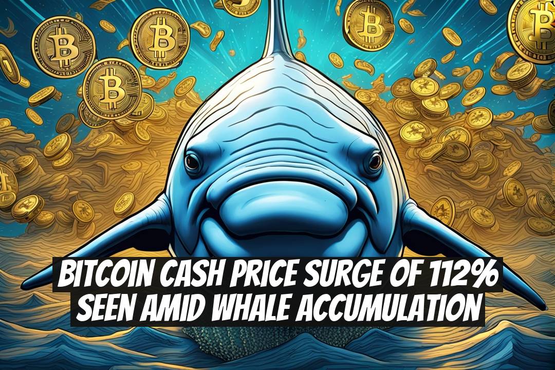 Bitcoin Cash Price Surge of 112% Seen Amid Whale Accumulation
