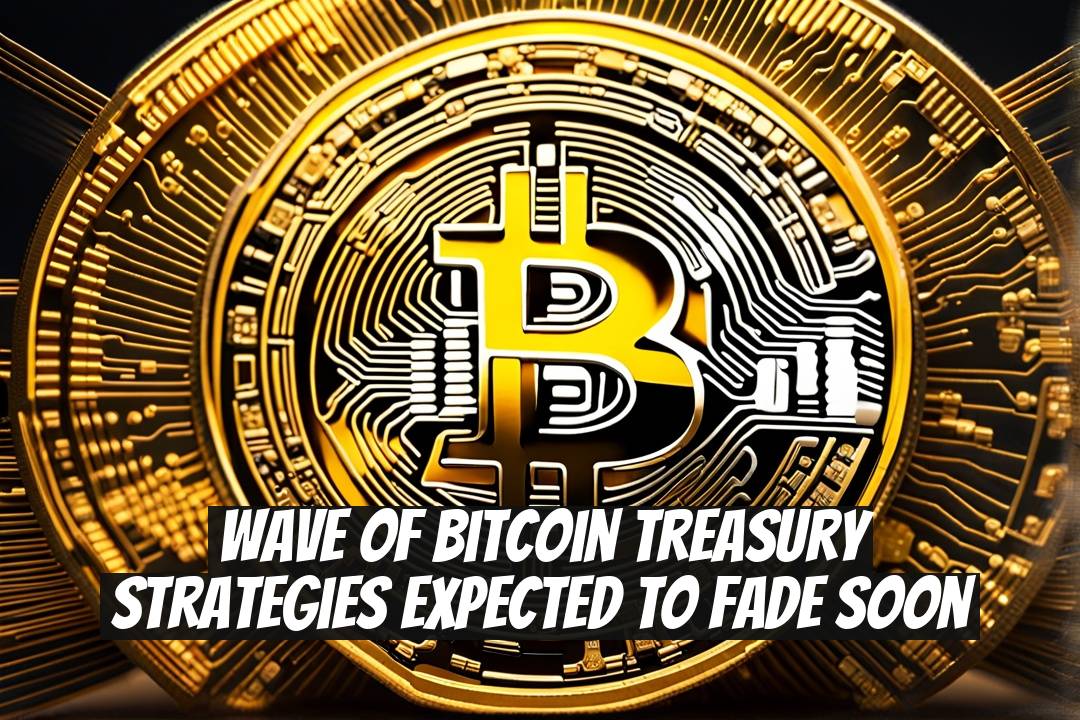 Wave of Bitcoin Treasury Strategies Expected to Fade Soon