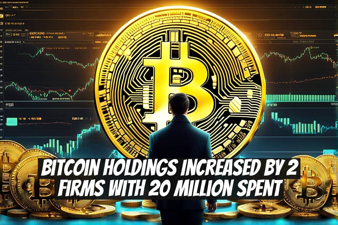 Bitcoin Holdings Increased by 2 Firms with 20 Million Spent