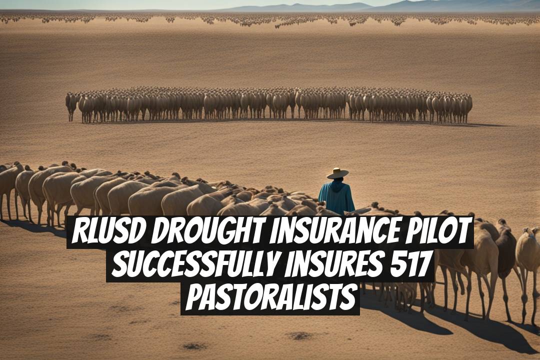 RLUSD Drought Insurance Pilot Successfully Insures 517 Pastoralists