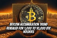 Bitcoin Accumulation Trend Revealed for 1,000 to 10,000 BTC Holders