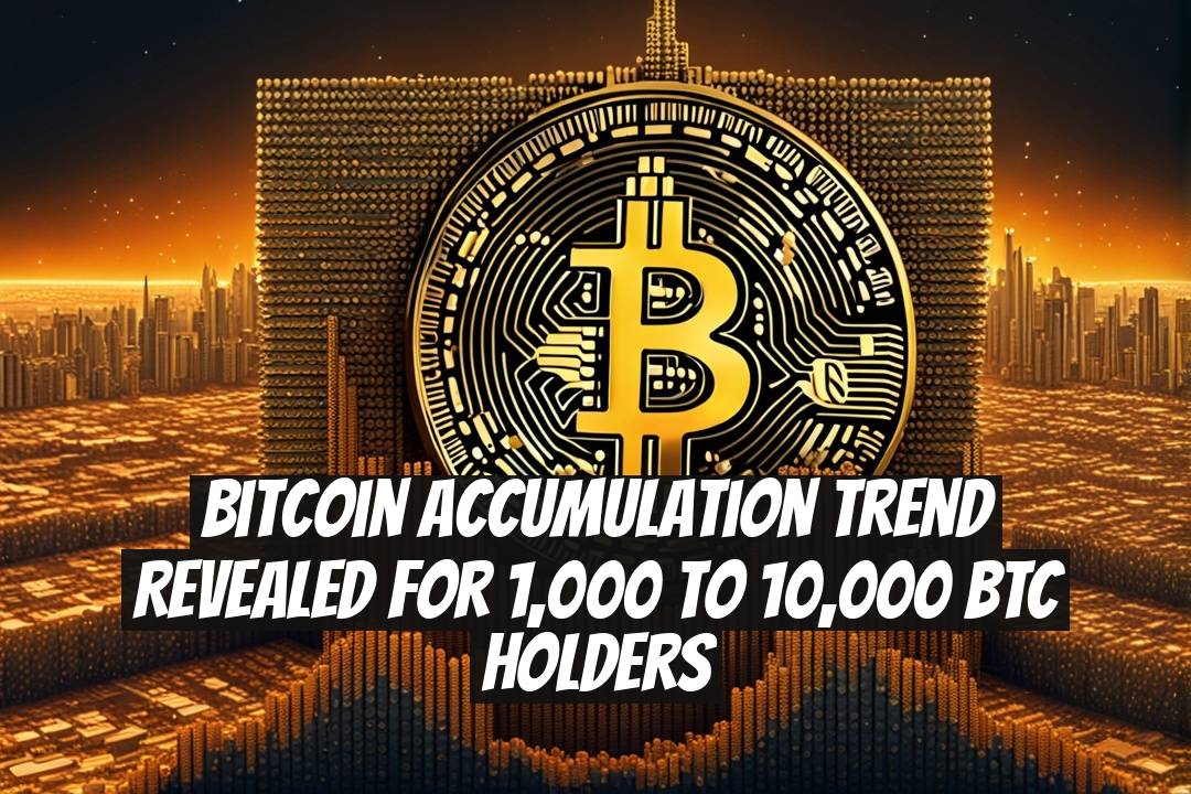 Bitcoin Accumulation Trend Revealed for 1,000 to 10,000 BTC Holders