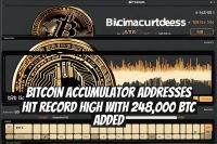 Bitcoin Accumulator Addresses Hit Record High with 248,000 BTC Added
