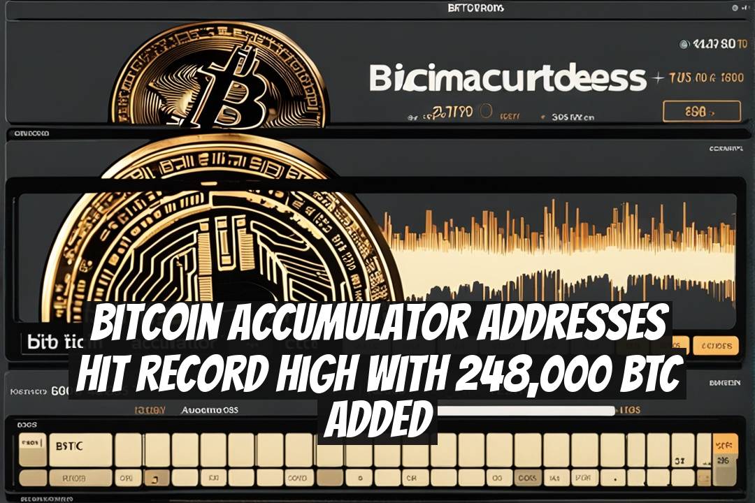 Bitcoin Accumulator Addresses Hit Record High with 248,000 BTC Added