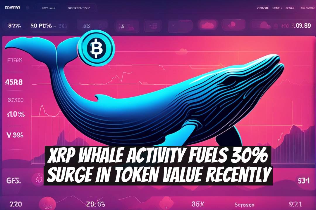 XRP Whale Activity Fuels 30% Surge in Token Value Recently