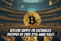 Bitcoin Supply on Exchanges Dropped by Over 21% Amid Rally